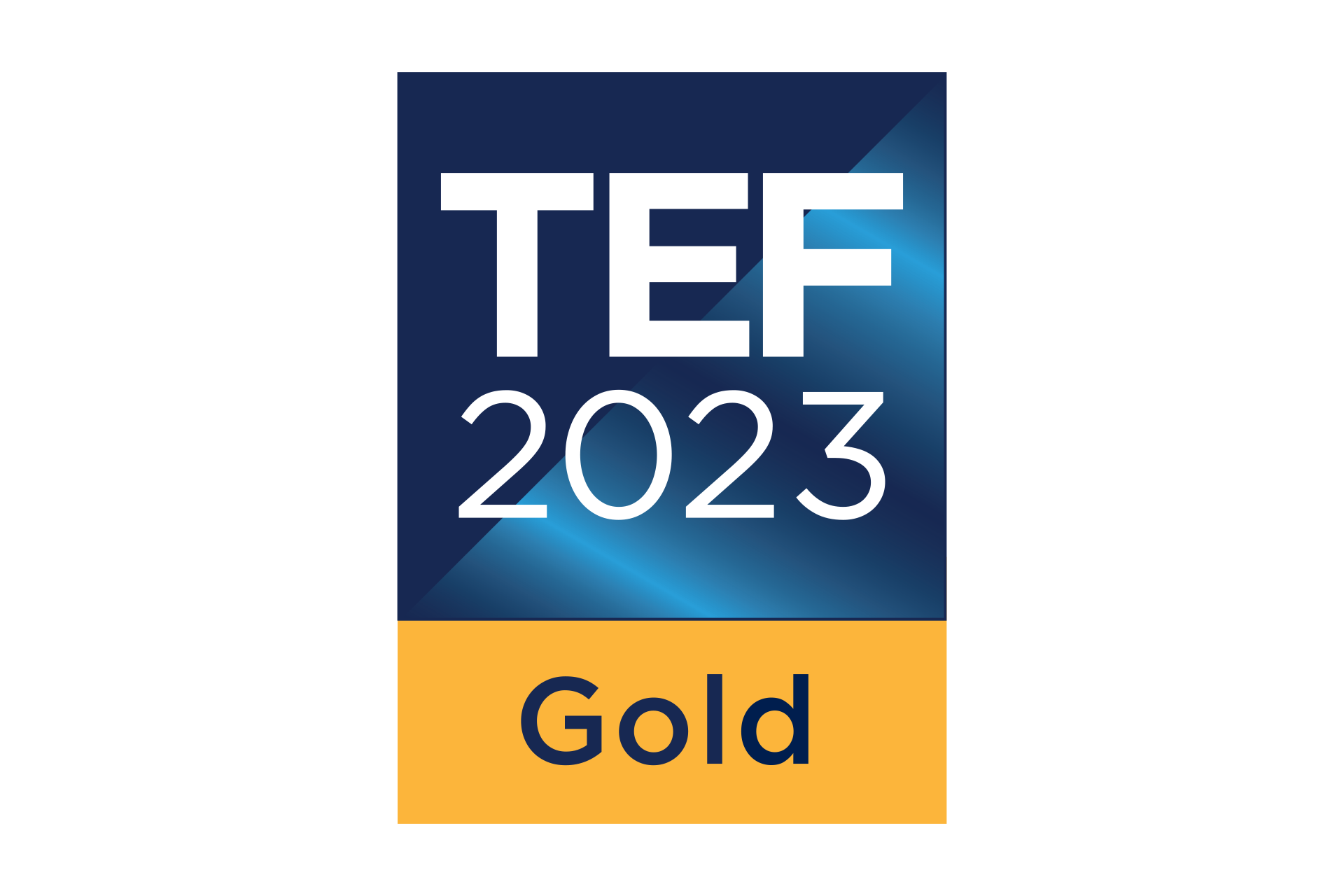 The TEF 2023 Gold logo.