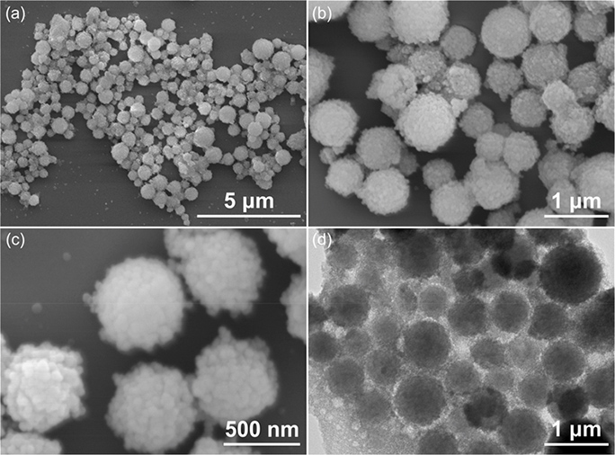 Nanoencapsulation and Surface Chemistry