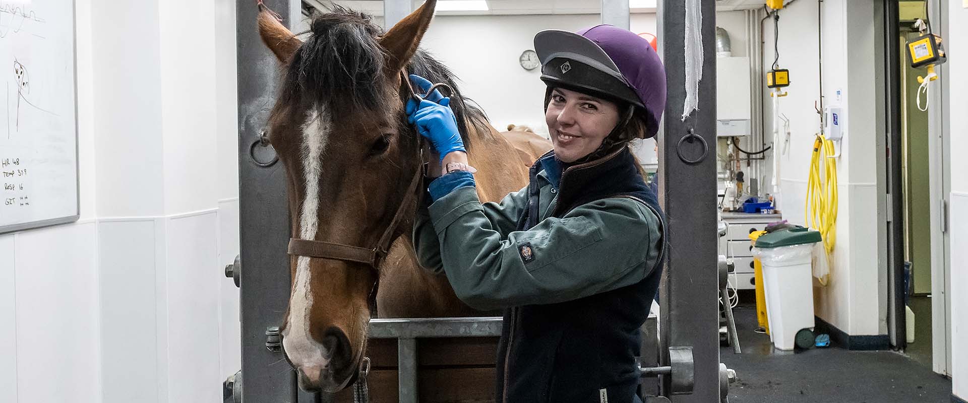 a veterinary professional stood next to a horse