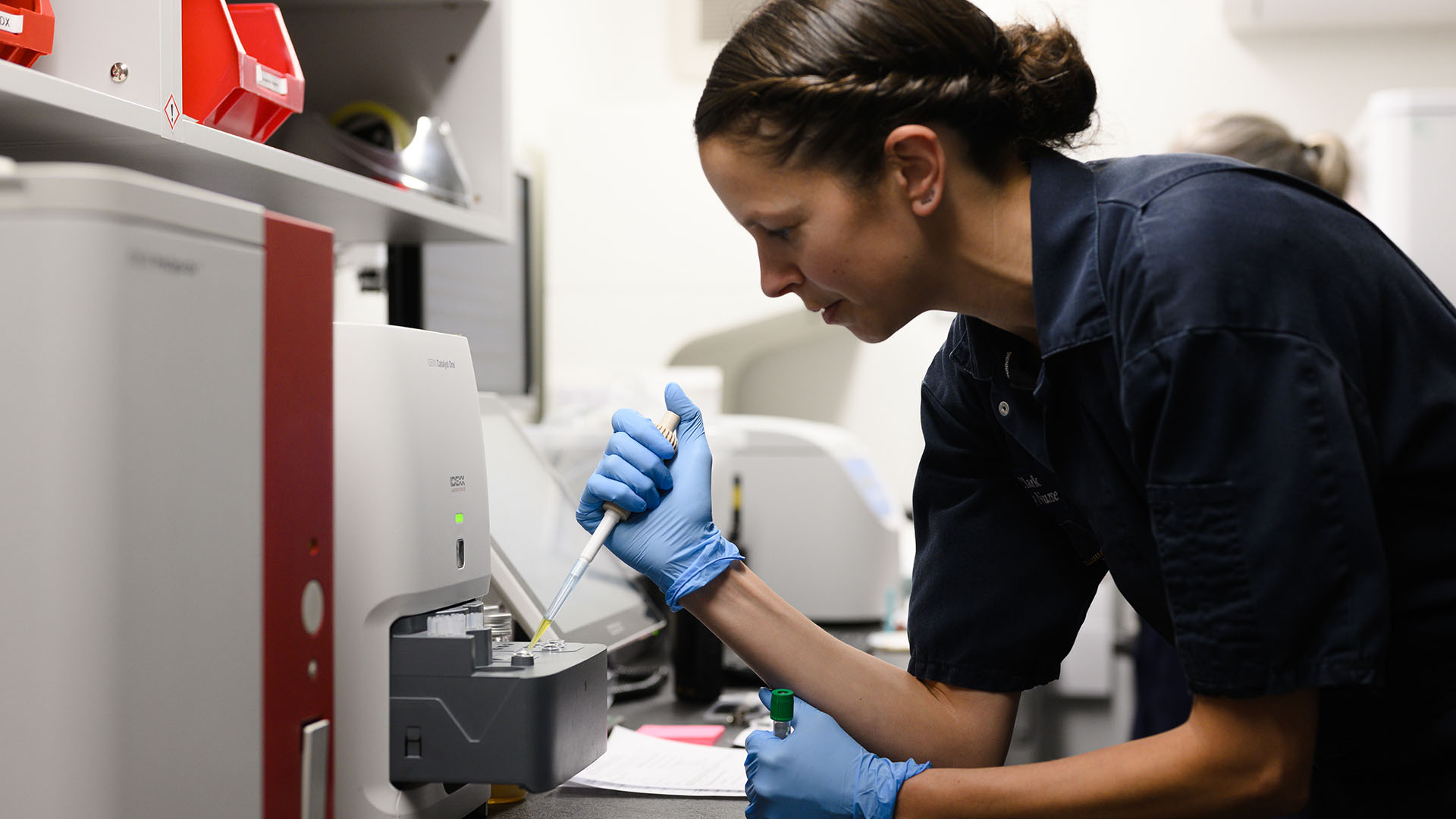 Veterinary scientist in a lab conducting research