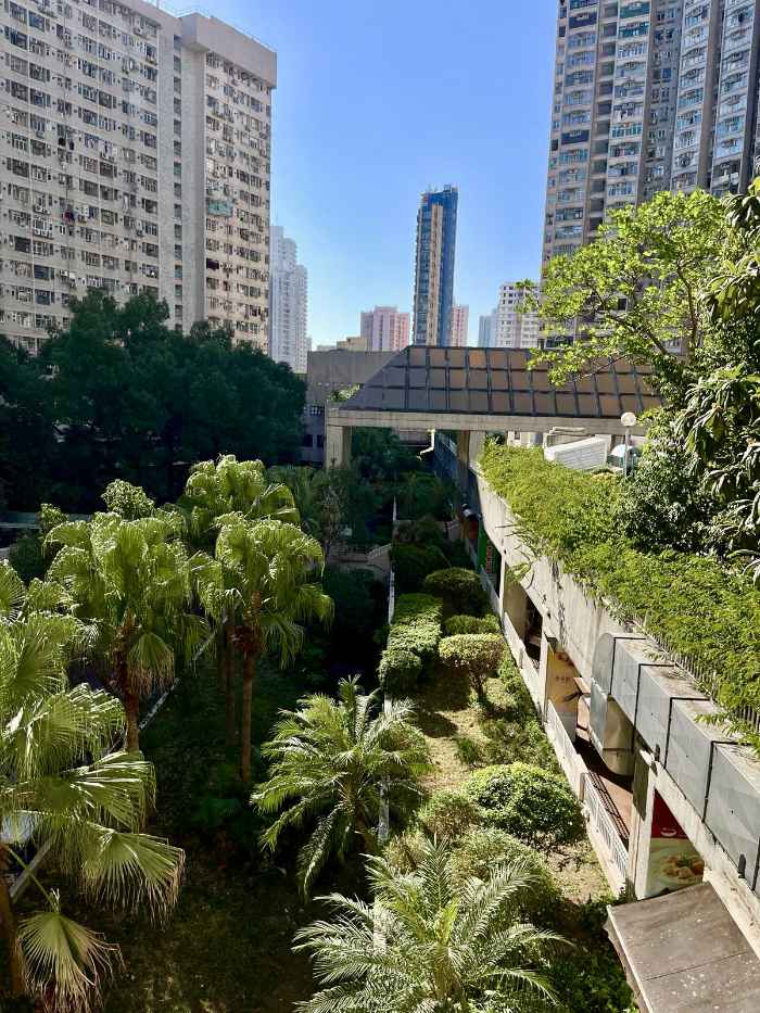 Green space in the middle of a city, high rise buildings on each side.