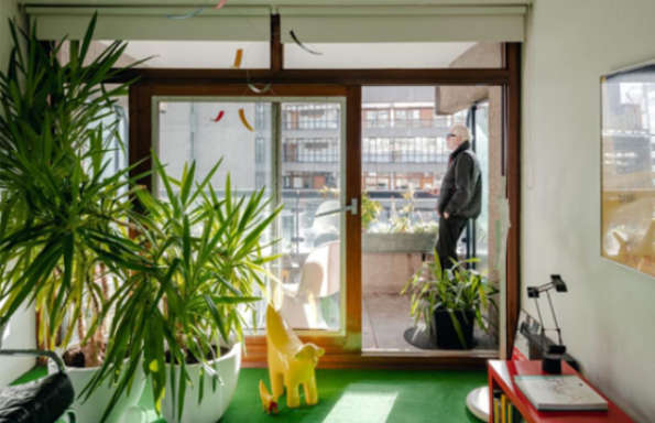 WHite heard man standing on a balcony thoughtfully looking out at a block of flats. In the foreground are houseplants and two hybrid lamb bananas.