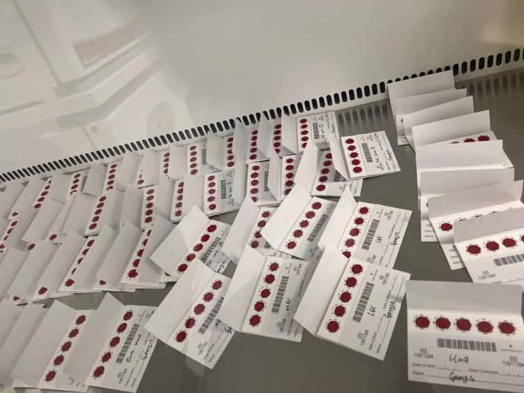 A worktop is covered in cards laid out with 5 circles of blood drying on each card