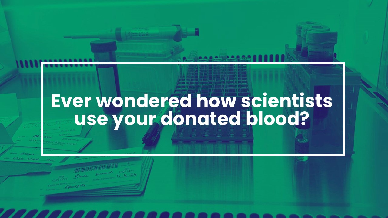 phials of blood are in stands on a worktop with spot test cards and a pipette around them. The blog's title is written over the top