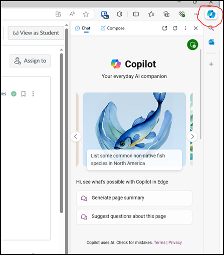 Copilot option in Canvas, with Copilot button highlighted