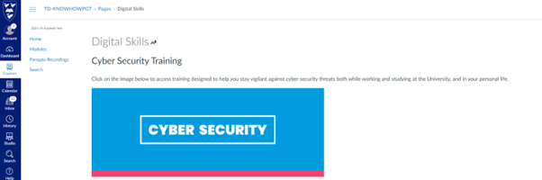 Cyber Security training in Canvas under Digital Skills as part of Know How