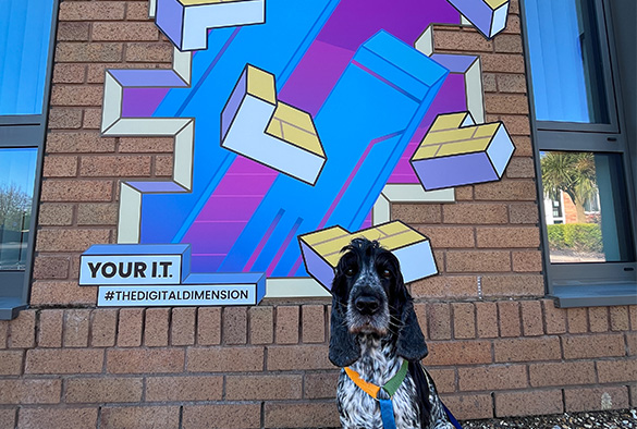Dog posing in front of art installation at Leahurst campus