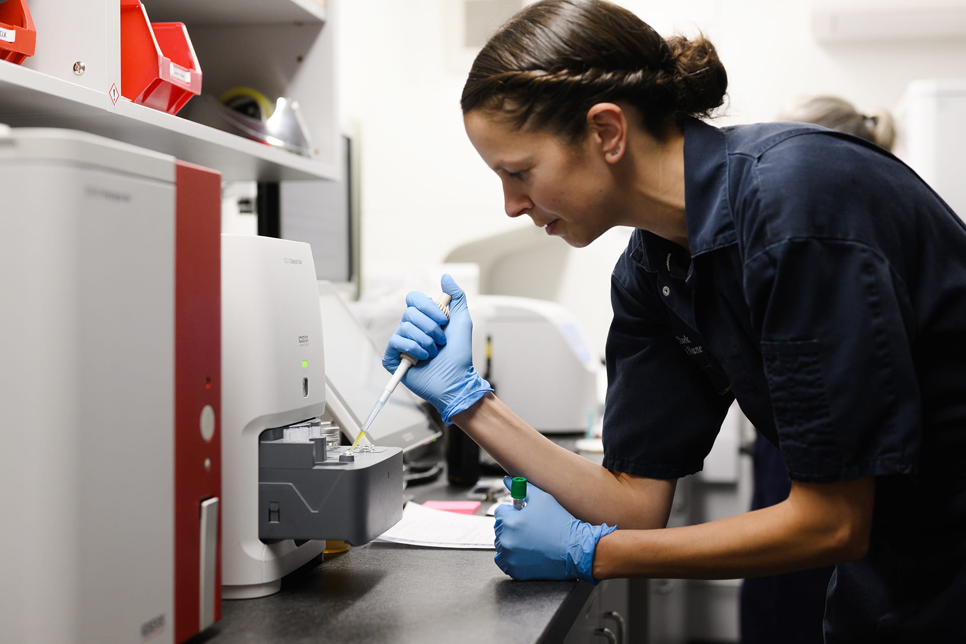 Nurse testing sample