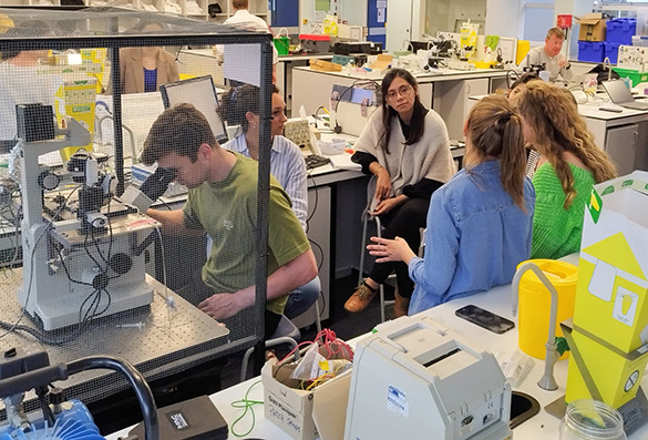 Students gathered in lab discussing at cell physiology workshop