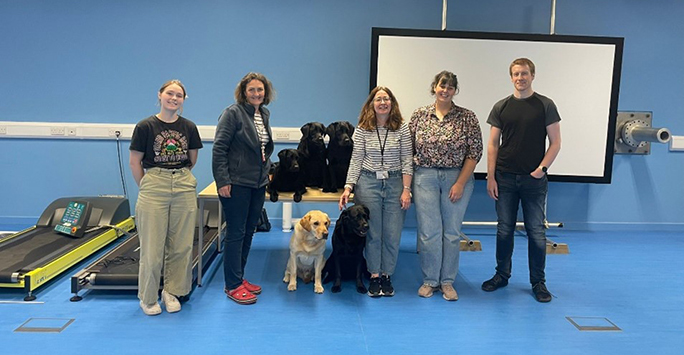 Natasha Clark and colleagues with Labrador Dogs for study