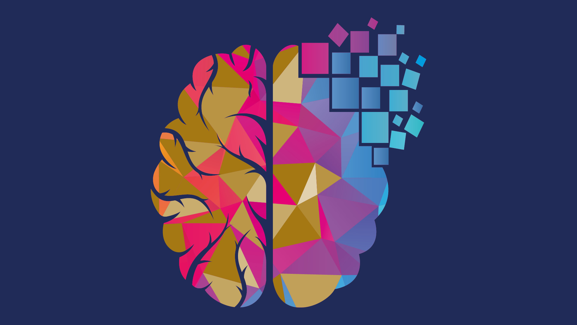 Illustration of brain divided into 2 segments