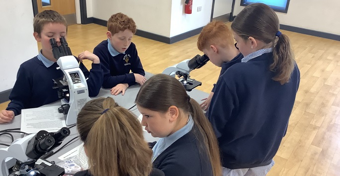 Children looking down microscopes