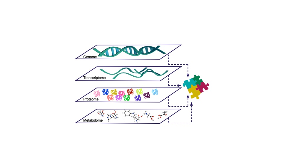Image of DNA representing the genome, strand DNA represnting the transcriptome, protein representin the proteome and metabolites representing the metabolome, l=dotted lines to link 4 jigsaw pieces