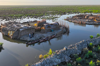 Structures on a marshland