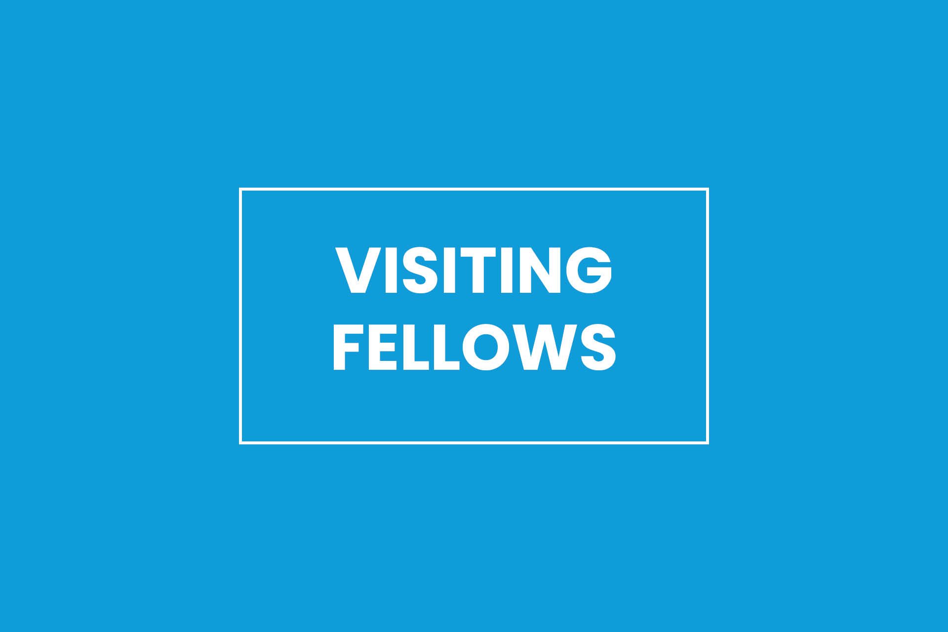 Light blue background with white text overlay that reads 'Visiting Fellows'