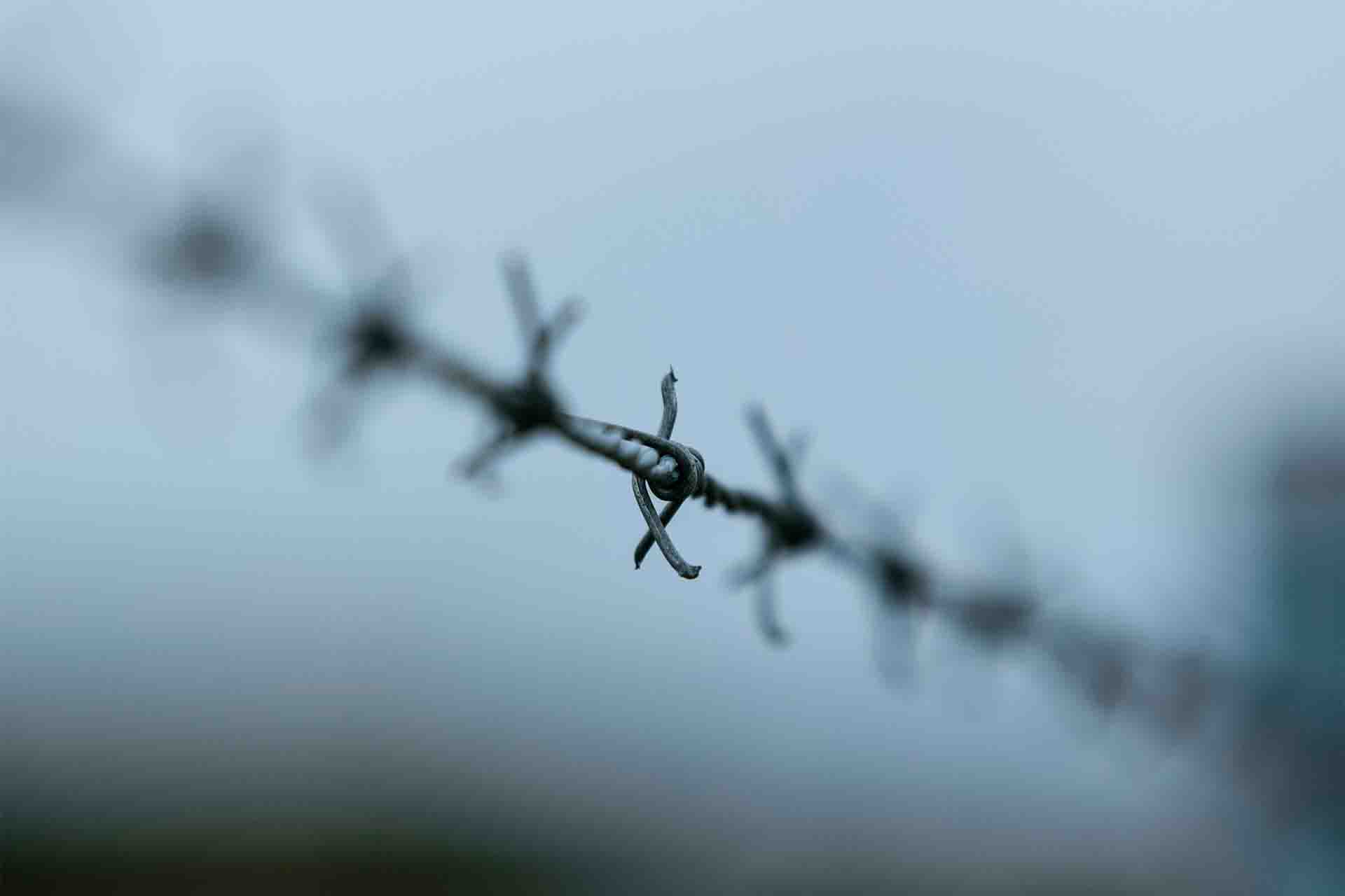 Barbed wire fence on a misty day.