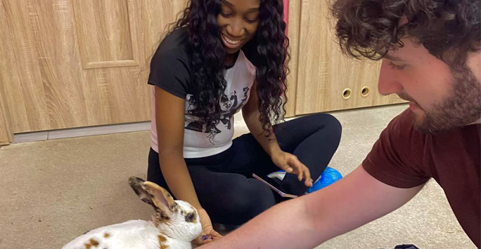 Two students pet a white bunny rabbit.