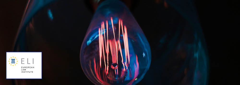 Lightbulb with the ELI logo