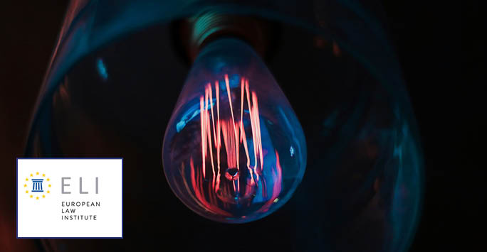 A lightbulb with the ELI logo