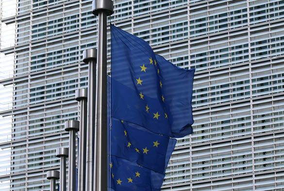A photo of multiple European flags outside the European Parliament building.