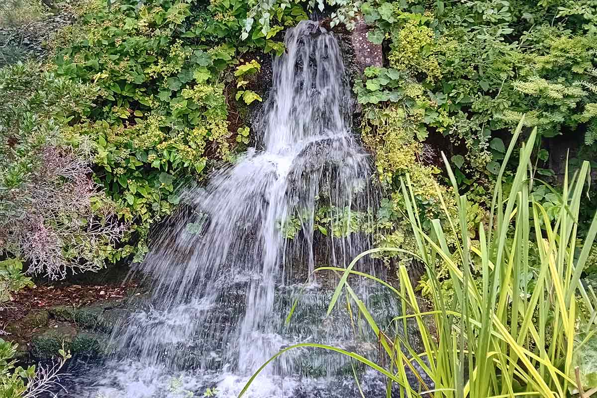 A small waterfall surrounded by greenery