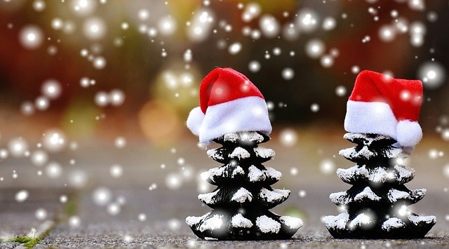 Pine cones with Santa Claus Hats and snow 