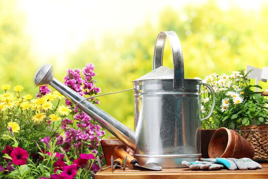 A watering can, empty plant pot, gardening gloves and trowel on a small table, surrounded by plants.