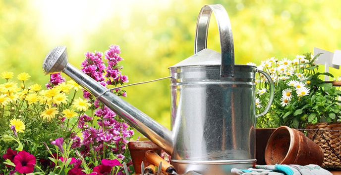 A silver watering can on a table with a trowel, plant pots and plants.