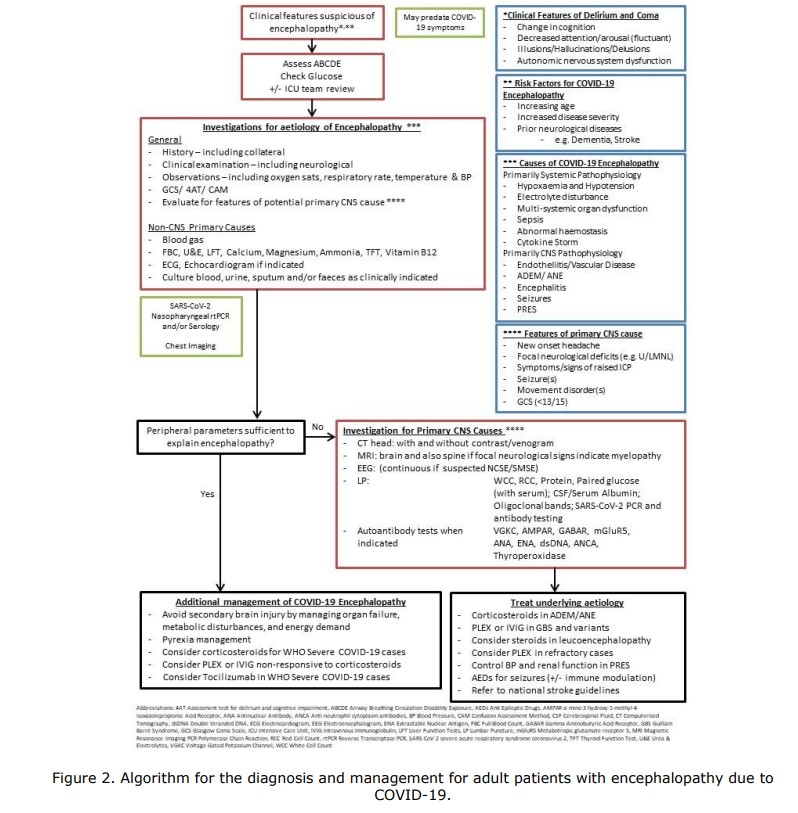 Flowchart of encephalopathy patient management taken from the COVID-19 Encephalopathy Clinical Guidance