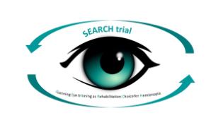 Vision search logo