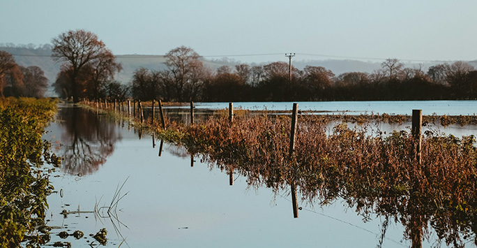 Flooded road on the Somerset Levels by helloimnik on Unsplash