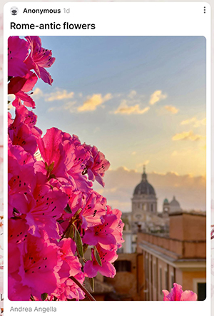 Image of flowers and Rome in background.