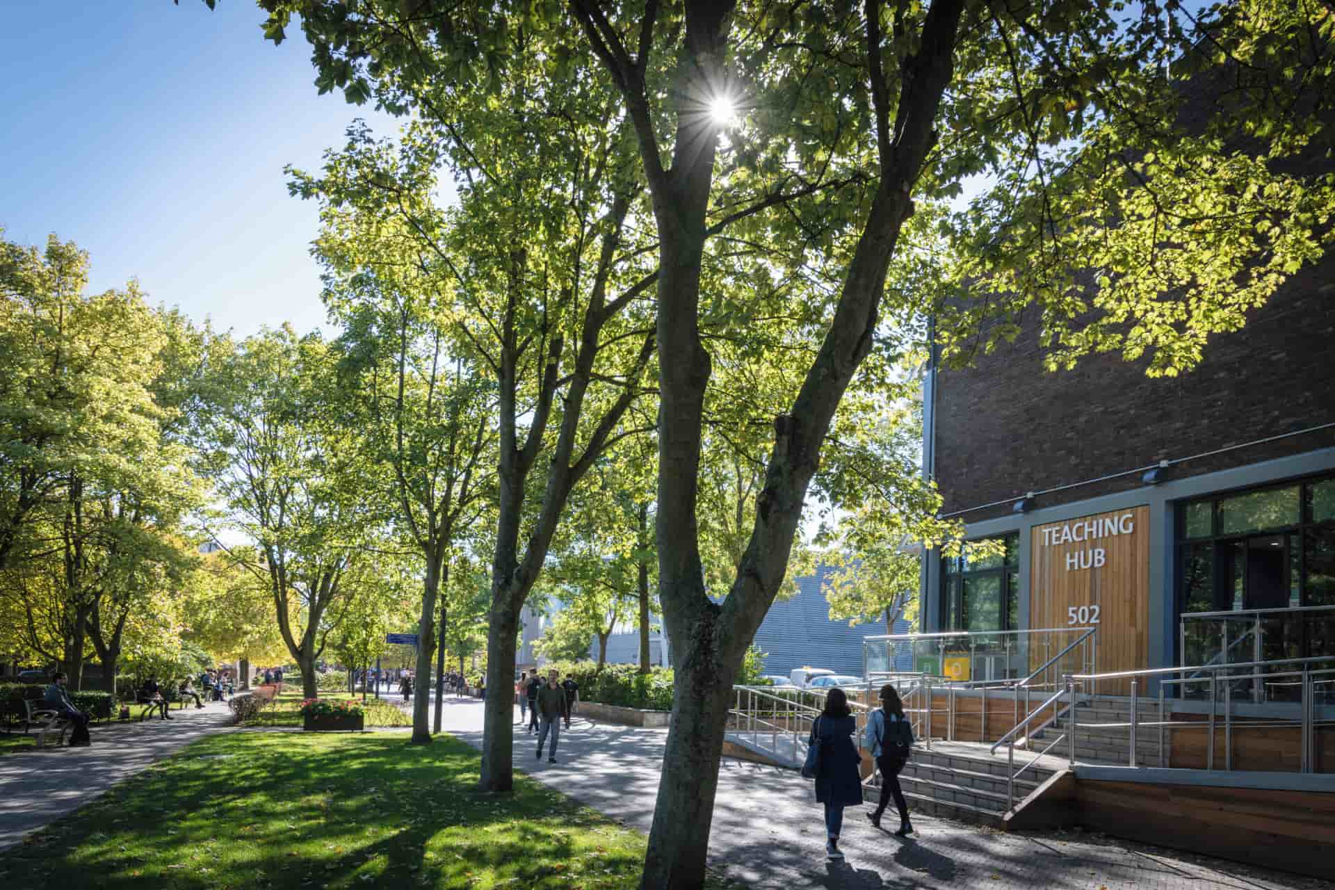 A tree-lined path outside the University's Teaching Hub on a sunny day.