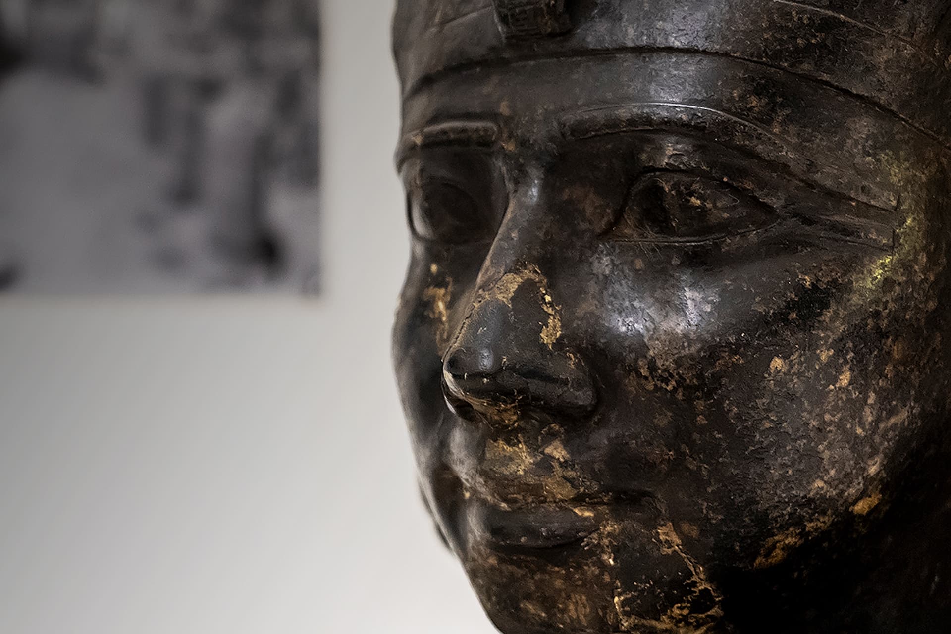 A statue in the Faculty of Health and Social Sciences with a blurred photograph in the background.