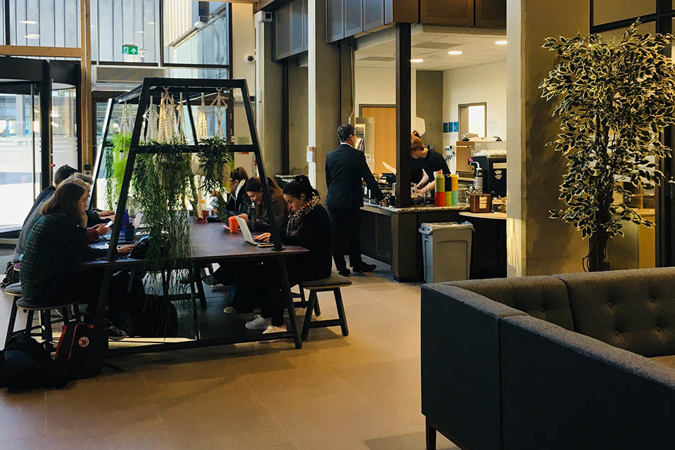 Cafe counter and large seating area in the Law and Social Justice Cafe