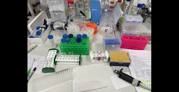 An image of a lab bench with pipettes and test tubes of varying sizes, tissue, and a printed experiment protocol