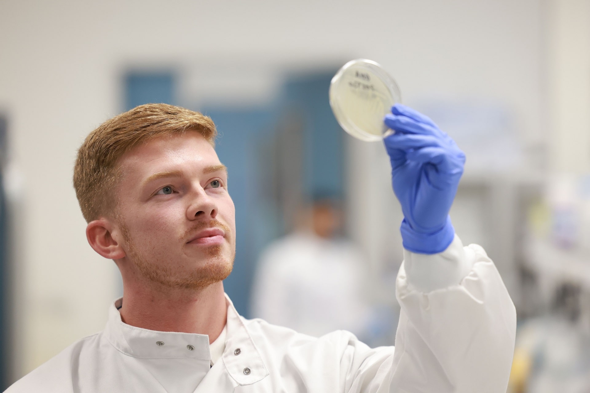 Scientist inspecting petri dish