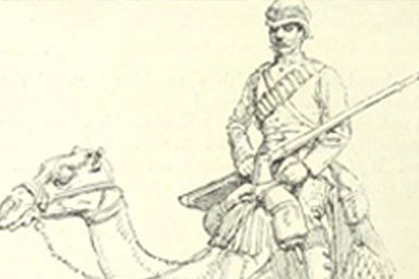 Illustration of a Victorian soldier on a camel