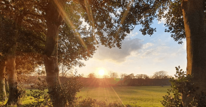 Sunrise in a park