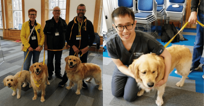 therapy dogs pose with their handlers and a student in grey scrubs pets a therapy dog