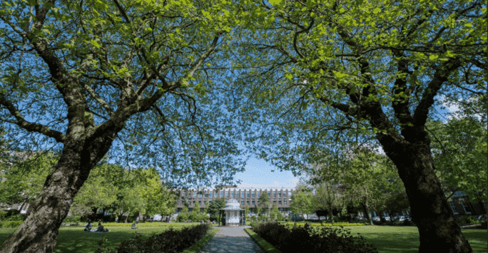 Abercromby Square in the sunshine