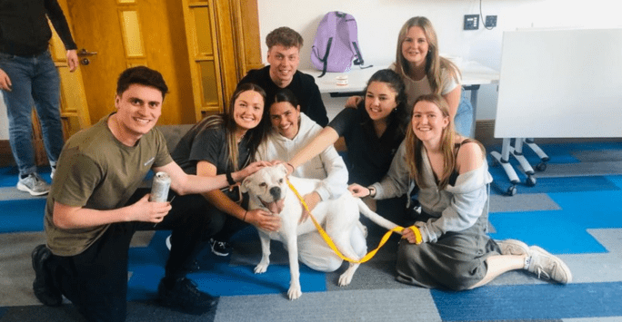 students with therapy dog