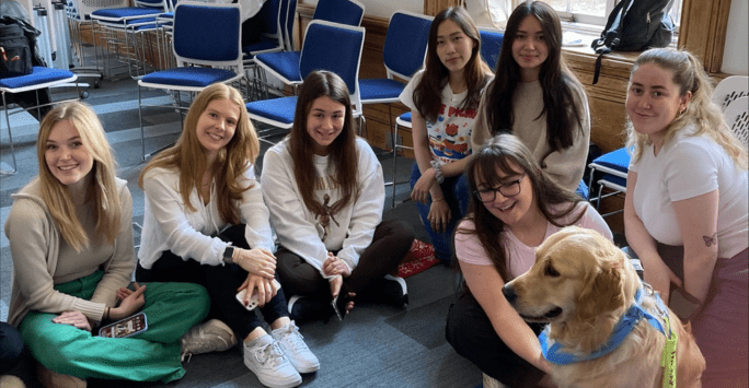 students with therapy dog