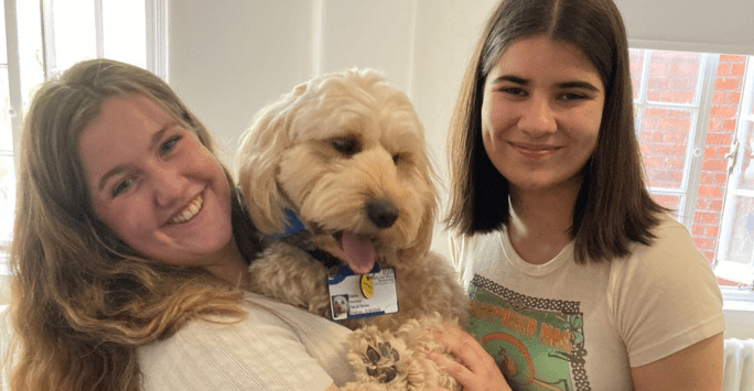 students with therapy dog