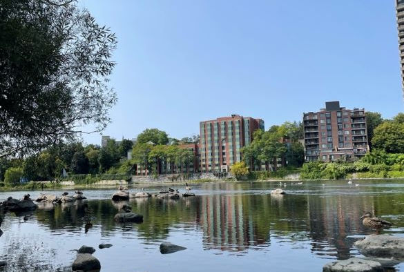 Apartment blocks next to a river