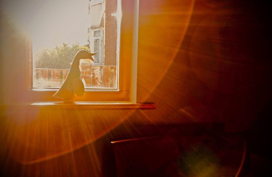 Photo of duck ornament on windowsill with lens flare