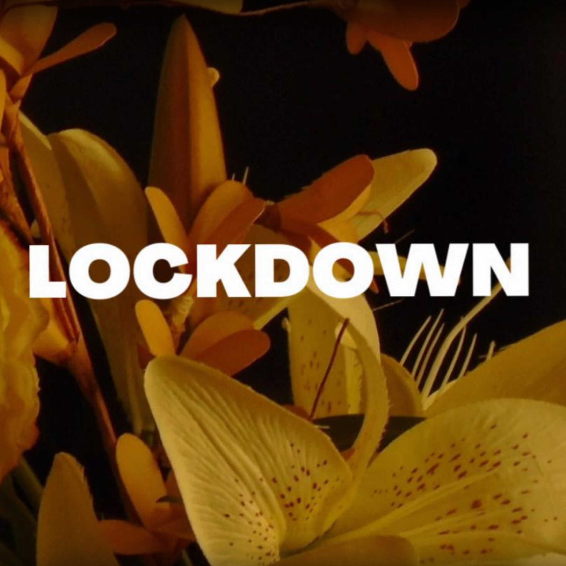 Lockdown graphic with flowers