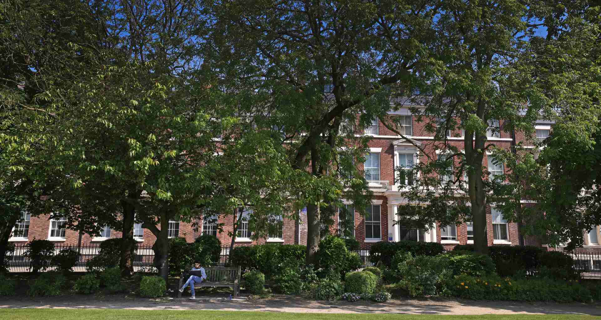 Person sat on bench in front of trees in Abercromby Square