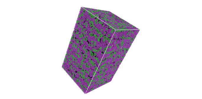 X-ray CT data showing smaller and larger metal particles in a binder-jet printed sample.