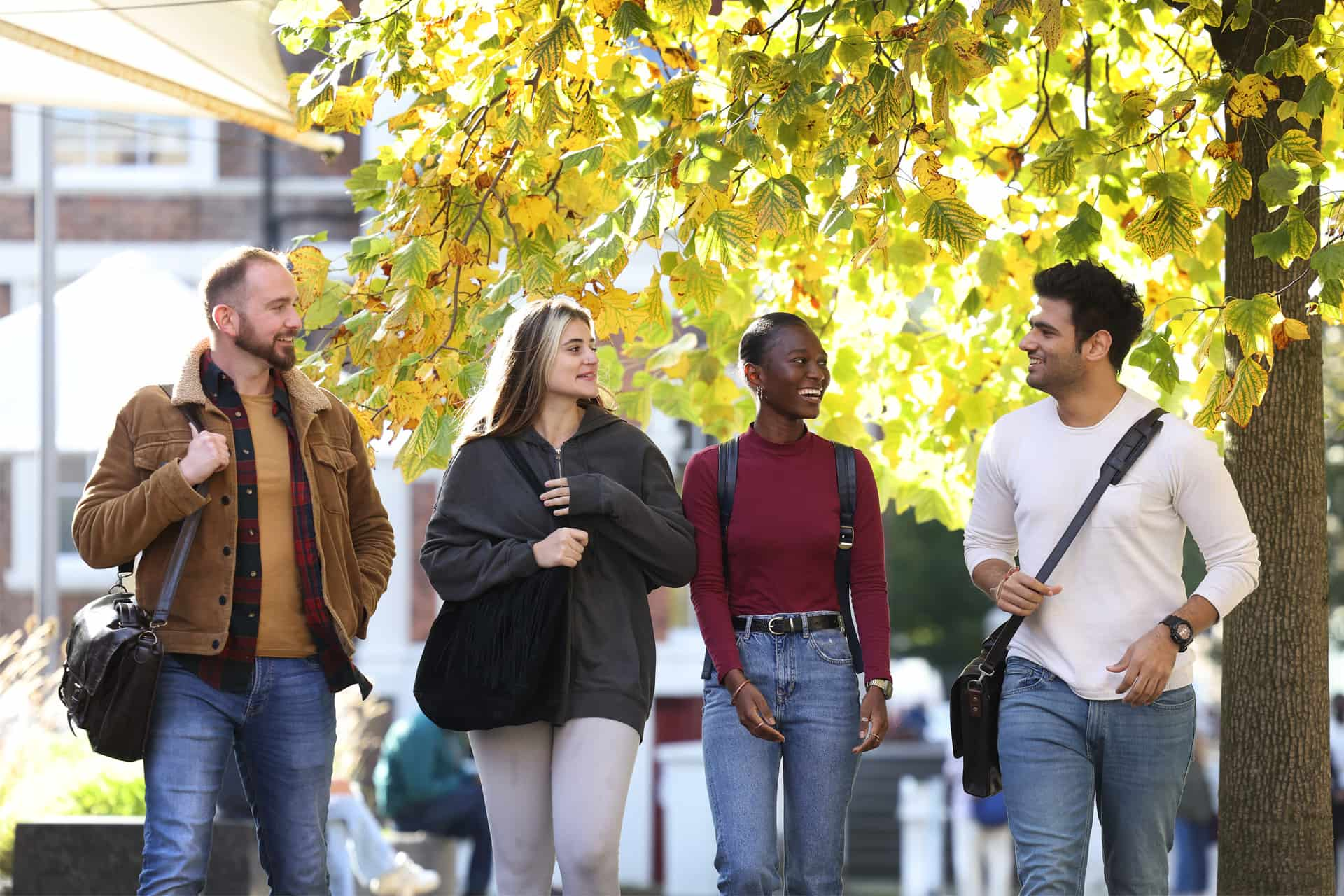 Four students walk together through campus.